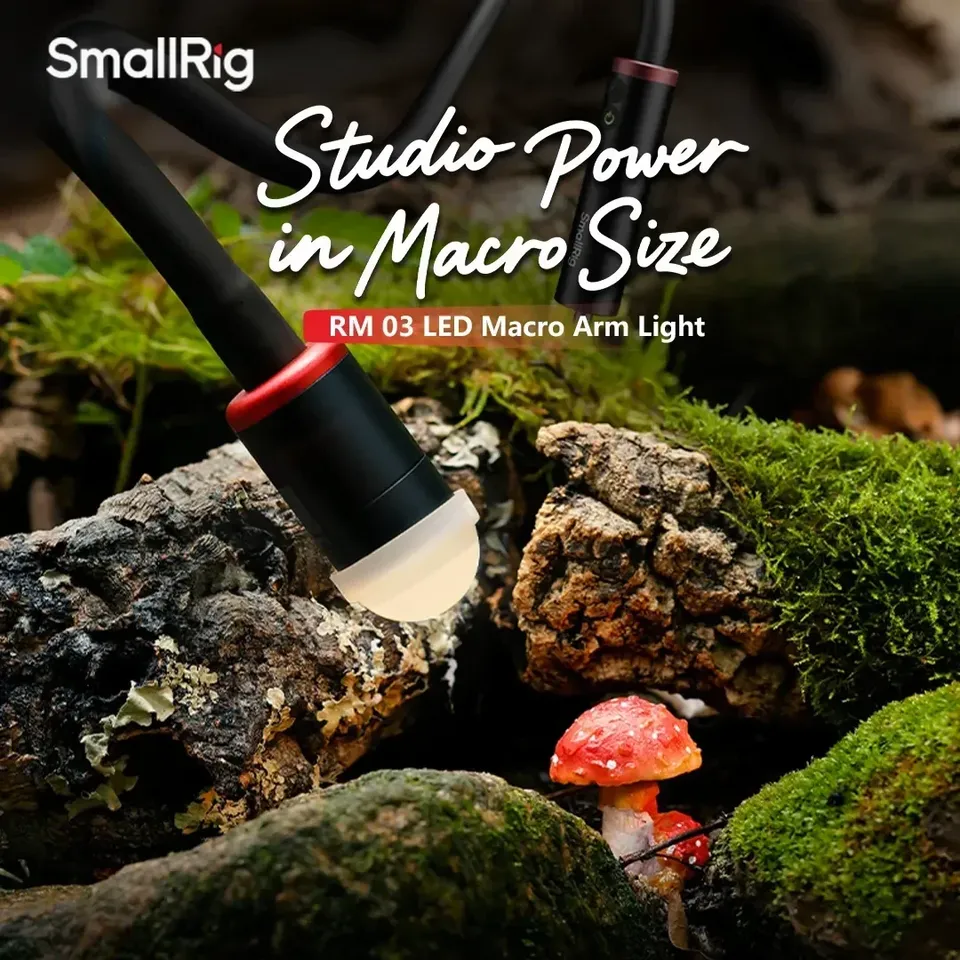 Für Smallrig RM-03 3W LED Makr – Photography Lighting For Jewelry Bewertung und Preis