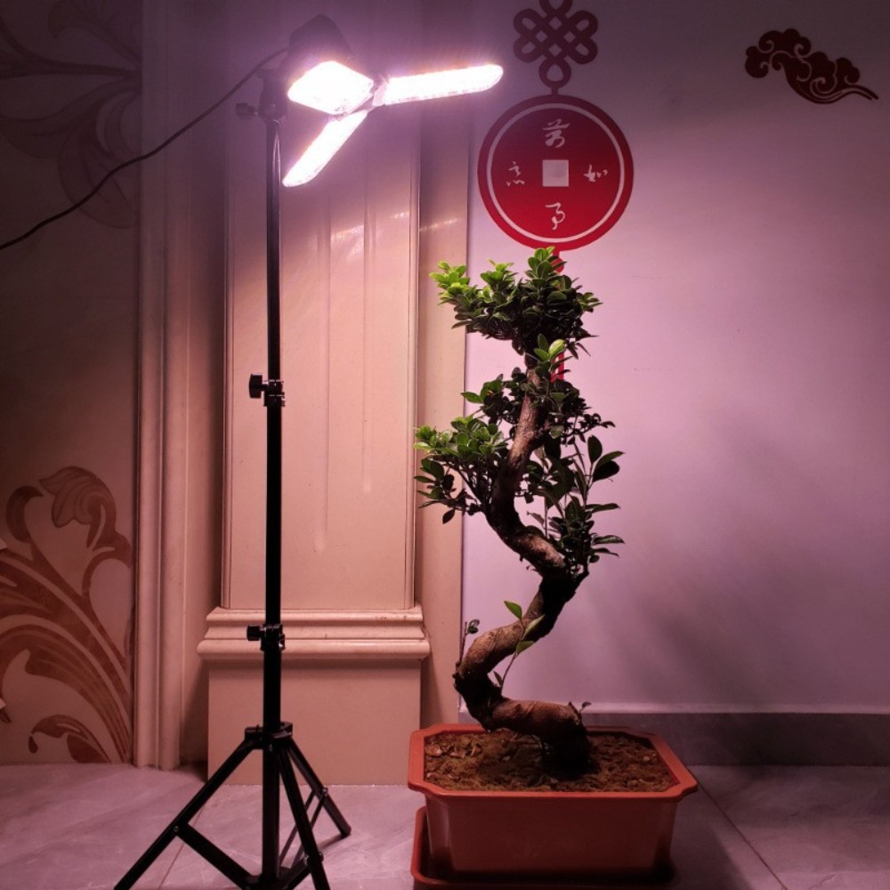 Glühbirnenständer 2M, E27 AC-S – Photography Lighting Mount Bewertung und Preis