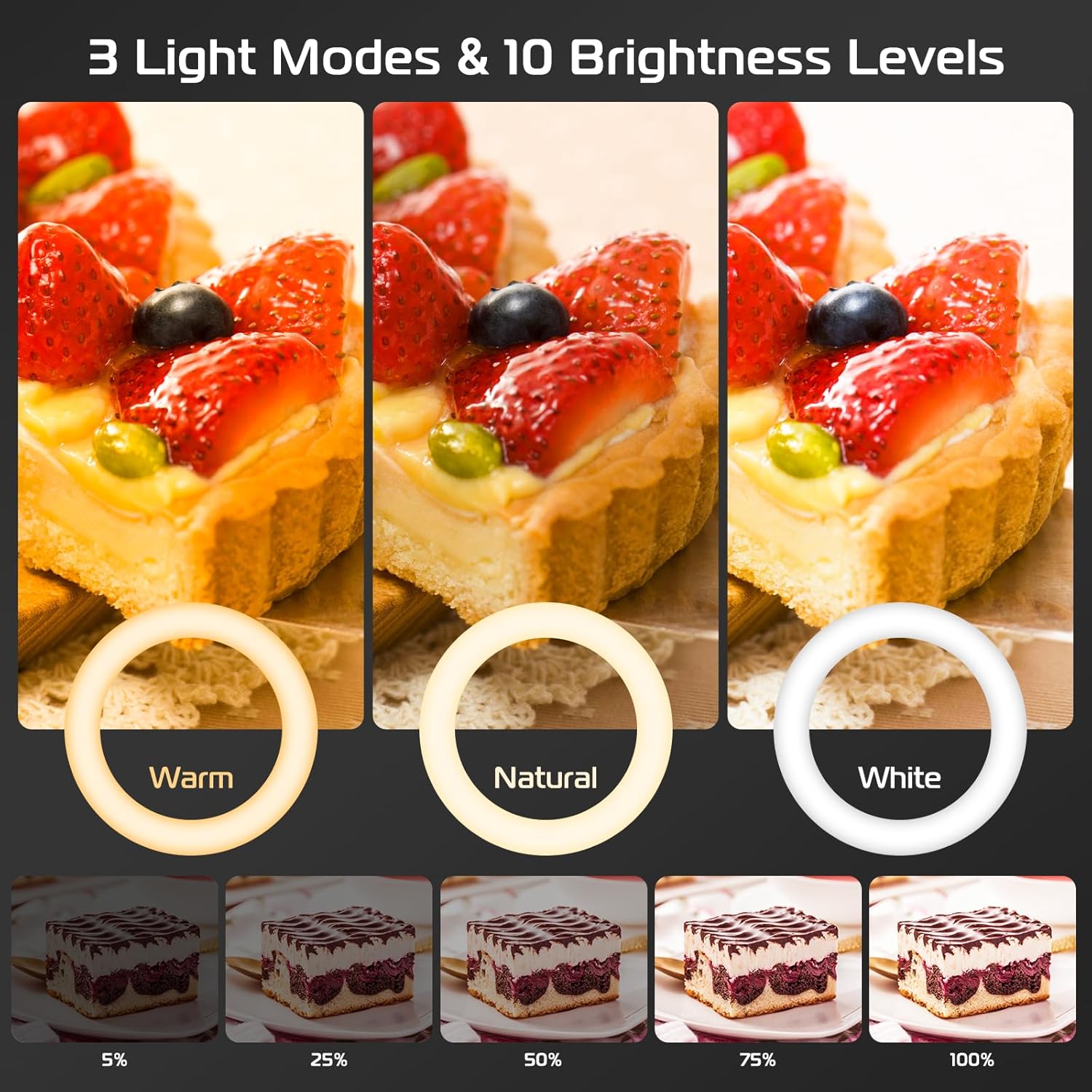 Ringlicht mit Ständer und Tele – Photography Lighting Circle Bewertung und Preis