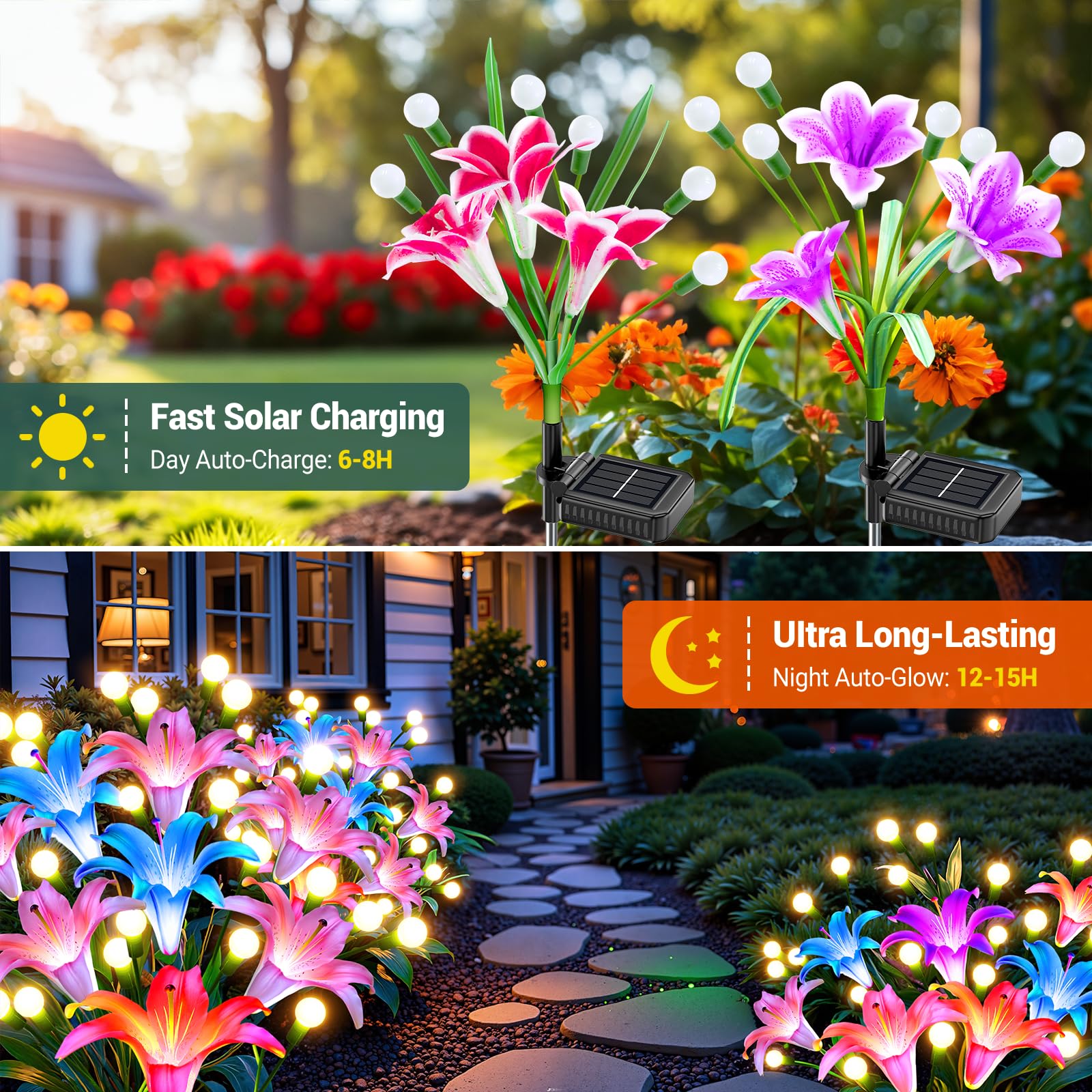 2/4er-Pack verbesserte Solarle – Flower Photography Led Lighting Pack Bewertung und Preis
